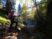 12 La stella del sole tra gli alberi 